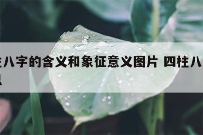 四柱八字的含义和象征意义图片 四柱八字的意思