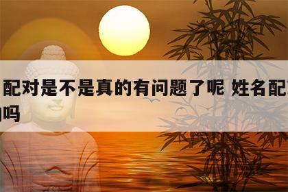 姓名配对是不是真的有问题了呢 姓名配对是真的吗