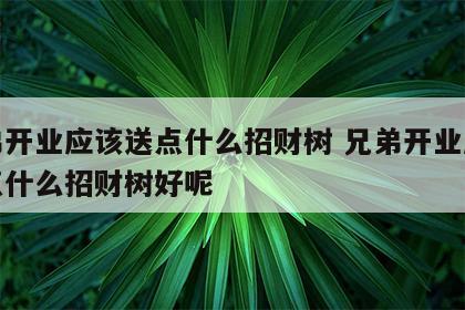 兄弟开业应该送点什么招财树 兄弟开业应该送点什么招财树好呢