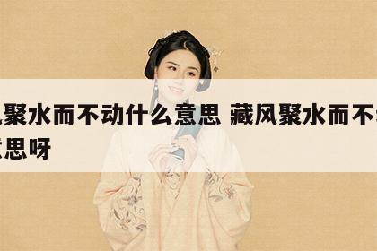 藏风聚水而不动什么意思 藏风聚水而不动什么意思呀