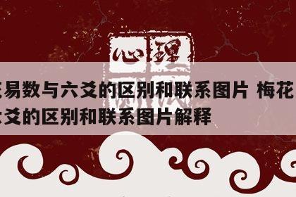 梅花易数与六爻的区别和联系图片 梅花易数与六爻的区别和联系图片解释