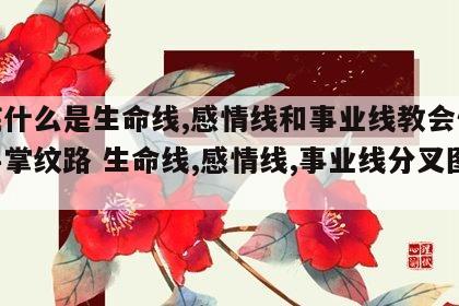到底什么是生命线,感情线和事业线教会你认识手掌纹路 生命线,感情线,事业线分叉图解
