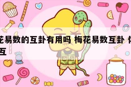 梅花易数的互卦有用吗 梅花易数互卦 体互 用互