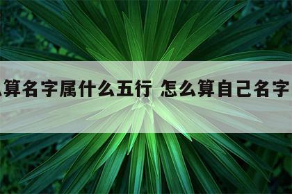 怎么算名字属什么五行 怎么算自己名字的五行