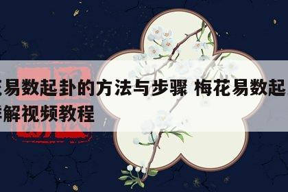梅花易数起卦的方法与步骤 梅花易数起卦方法详解视频教程