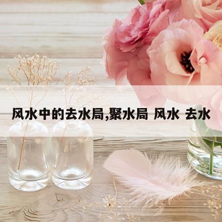 风水中的去水局,聚水局 风水 去水