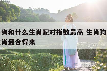 生肖狗和什么生肖配对指数最高 生肖狗和什么生肖最合得来