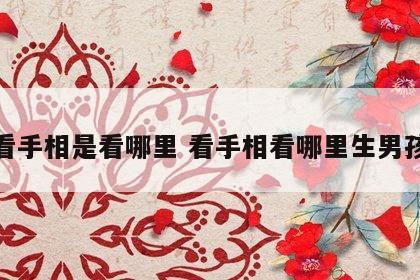 看手相是看哪里 看手相看哪里生男孩