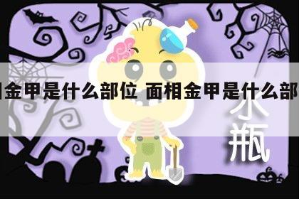 面相金甲是什么部位 面相金甲是什么部位图片