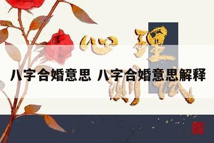 八字合婚意思 八字合婚意思解释