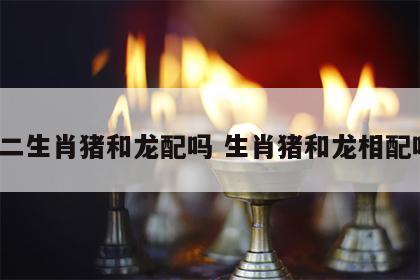 十二生肖猪和龙配吗 生肖猪和龙相配吗?