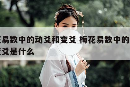 梅花易数中的动爻和变爻 梅花易数中的动爻和变爻是什么