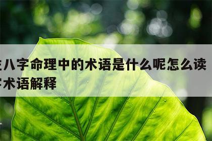 四柱八字命理中的术语是什么呢怎么读 四柱八字术语解释