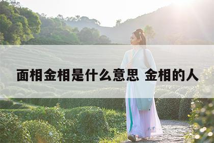 面相金相是什么意思 金相的人