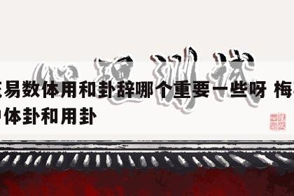 梅花易数体用和卦辞哪个重要一些呀 梅花易数中体卦和用卦