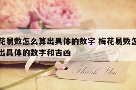 梅花易数怎么算出具体的数字 梅花易数怎么算出具体的数字和吉凶