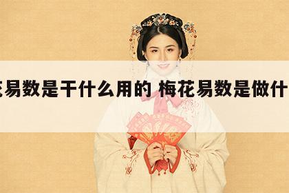 梅花易数是干什么用的 梅花易数是做什么用的