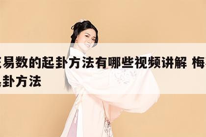梅花易数的起卦方法有哪些视频讲解 梅花易术起卦方法