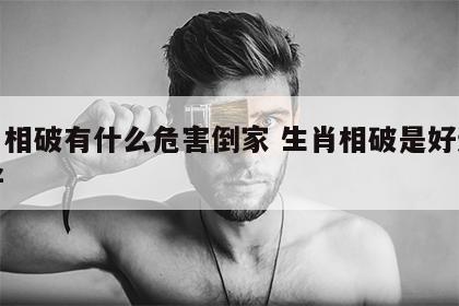 生肖相破有什么危害倒家 生肖相破是好还是不好