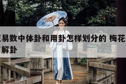 梅花易数中体卦和用卦怎样划分的 梅花易数体用解卦