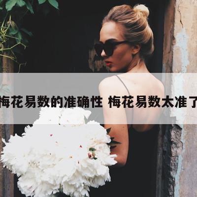 梅花易数的准确性 梅花易数太准了