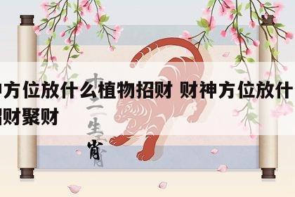 财神方位放什么植物招财 财神方位放什么植物招财聚财