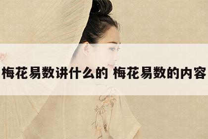 梅花易数讲什么的 梅花易数的内容