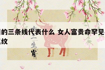 手相的三条线代表什么 女人富贵命罕见手相凤尾纹