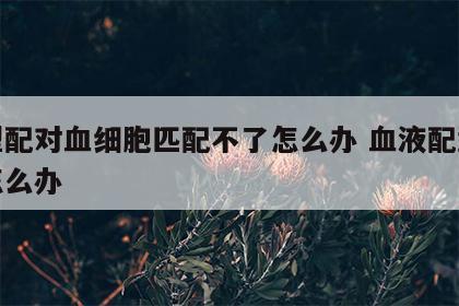 血型配对血细胞匹配不了怎么办 血液配型不了怎么办