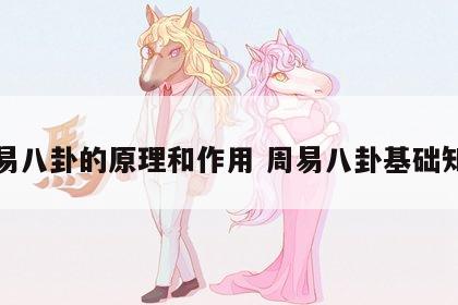 周易八卦的原理和作用 周易八卦基础知识