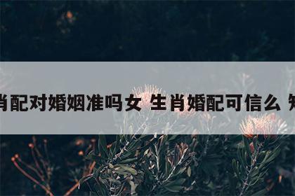 生肖配对婚姻准吗女 生肖婚配可信么 知乎