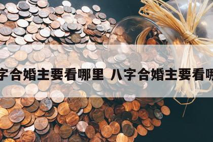 八字合婚主要看哪里 八字合婚主要看哪些
