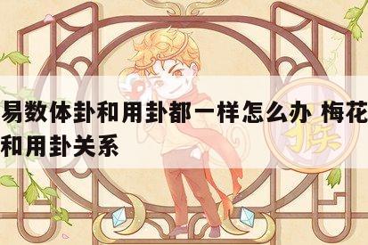 梅花易数体卦和用卦都一样怎么办 梅花易数体卦和用卦关系