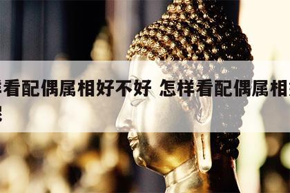 怎样看配偶属相好不好 怎样看配偶属相好不好呢