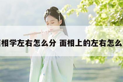 面相学左右怎么分 面相上的左右怎么分