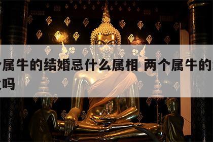 两个属牛的结婚忌什么属相 两个属牛的结婚合适吗