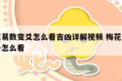 梅花易数变爻怎么看吉凶详解视频 梅花易数变卦怎么看