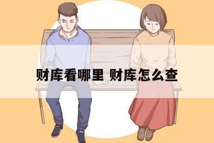 财库看哪里 财库怎么查