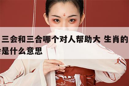 生肖三会和三合哪个对人帮助大 生肖的三合三会是什么意思