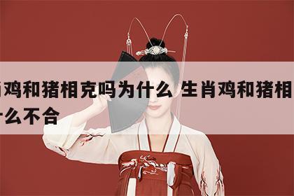生肖鸡和猪相克吗为什么 生肖鸡和猪相克吗为什么不合