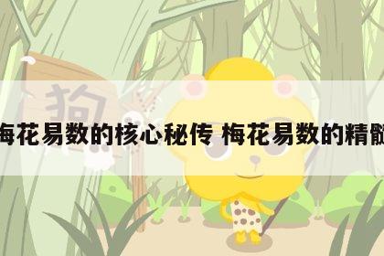 梅花易数的核心秘传 梅花易数的精髓