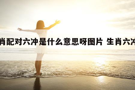 生肖配对六冲是什么意思呀图片 生肖六冲口诀