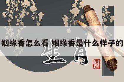 姻缘香怎么看 姻缘香是什么样子的