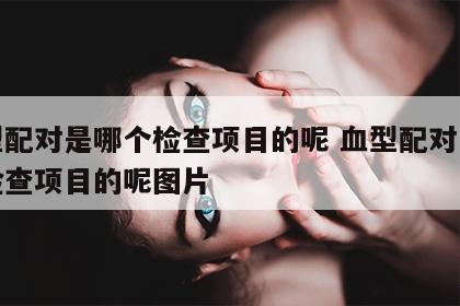 血型配对是哪个检查项目的呢 血型配对是哪个检查项目的呢图片