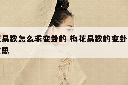 梅花易数怎么求变卦的 梅花易数的变卦是什么意思