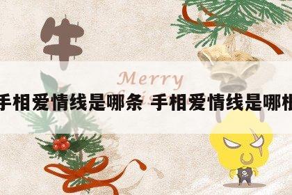 手相爱情线是哪条 手相爱情线是哪根