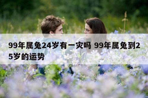 99年属兔24岁有一灾吗 99年属兔到25岁的运势