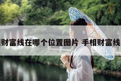 手相财富线在哪个位置图片 手相财富线图解