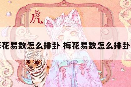 梅花易数怎么排卦 梅花易数怎么排卦的