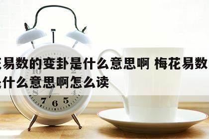 梅花易数的变卦是什么意思啊 梅花易数的变卦是什么意思啊怎么读
